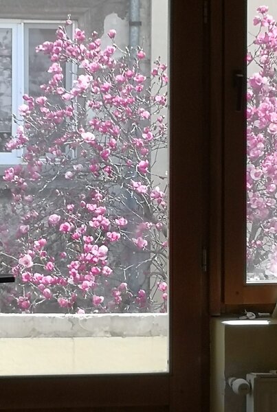 Foisorul de Foc, Cartierul Evreiesc, Ultracentral,