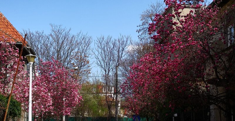 Foisorul de Foc, Cartierul Evreiesc, Ultracentral,